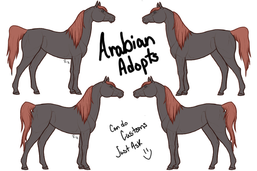 Arabian adopts