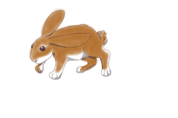 Pfeiffer Bunny