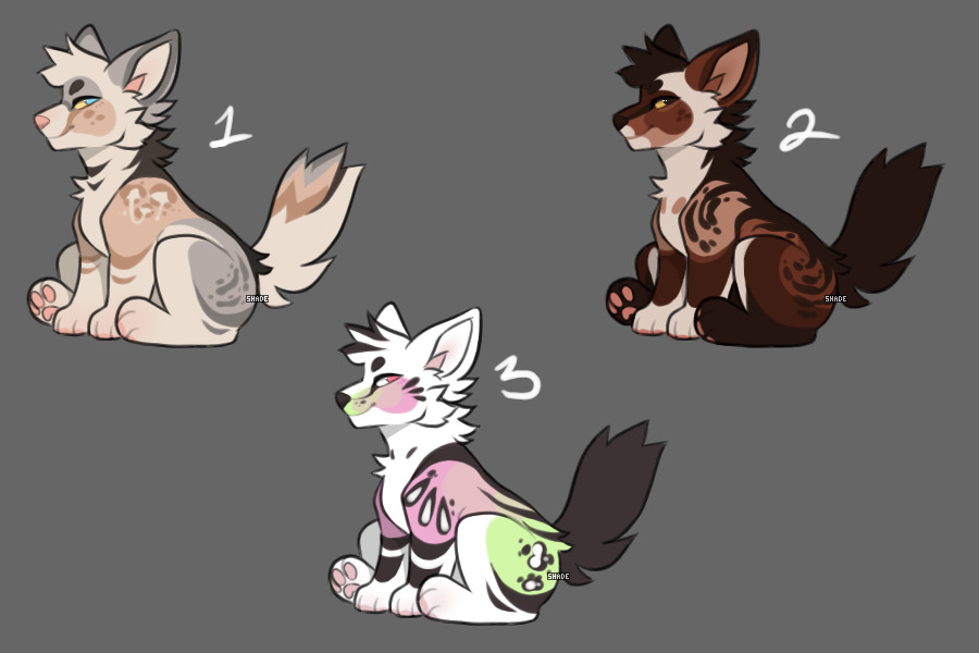 another 3 adopts open