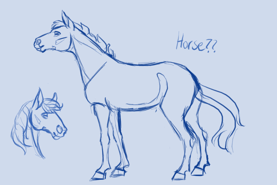 what even is a horse