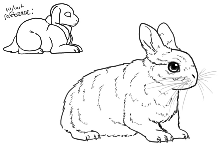 Bunny/Rabbit .3.