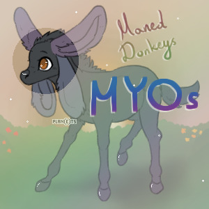 💎 Maned Donkeys - MYOs