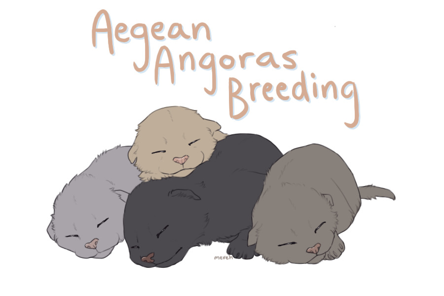 Aegean Angoras Breeding Center