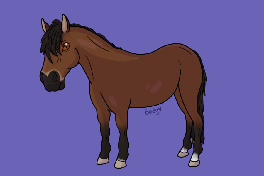 ok i did it i drew a horse NOW
