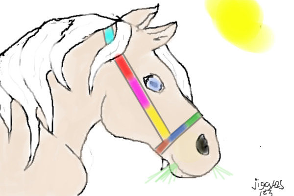 strawberry roan  mare