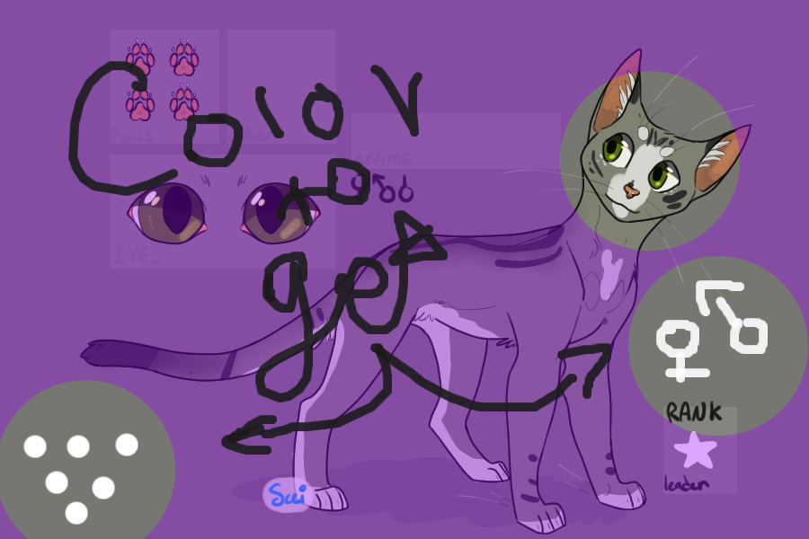 Color to get a warrior cat!