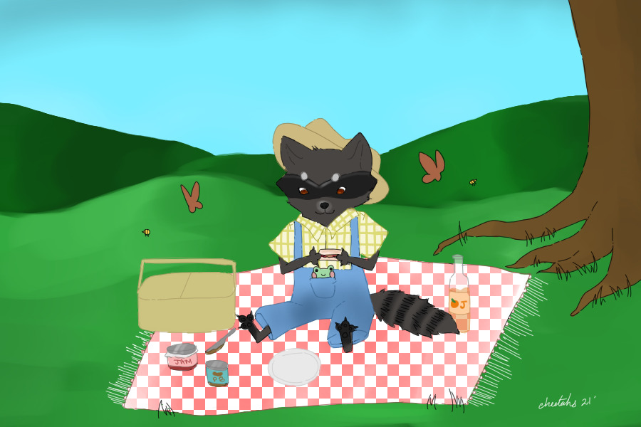 raccoon picnic