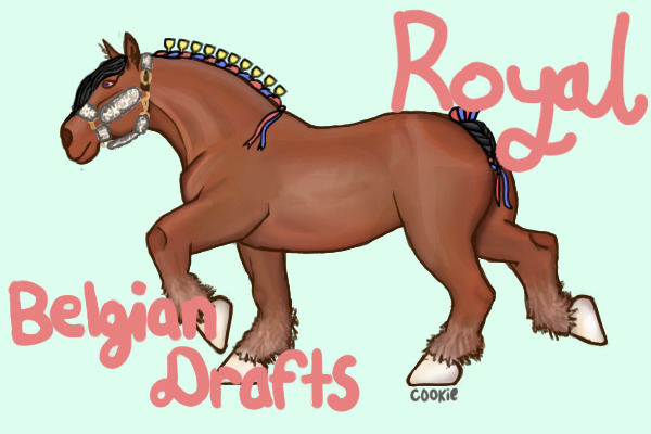 Royal Belgian Draft Horses