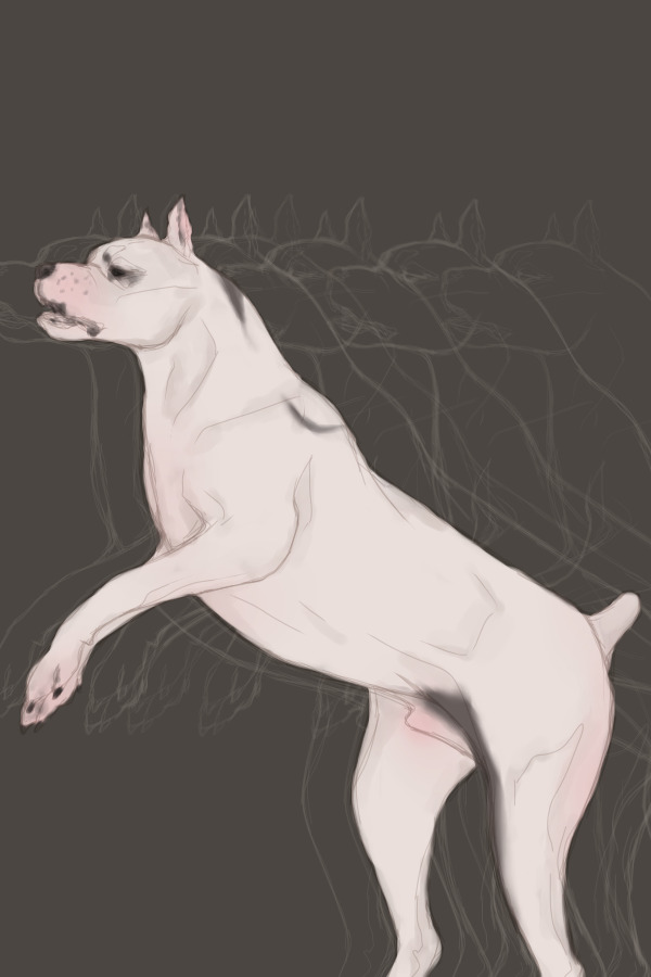 out of body