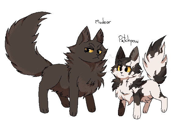 cats