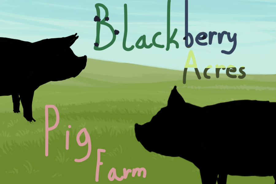Blackberry Acres Pig Farm || V.1