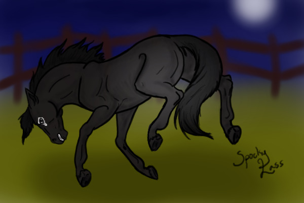 Moonlight horse Kelpie
