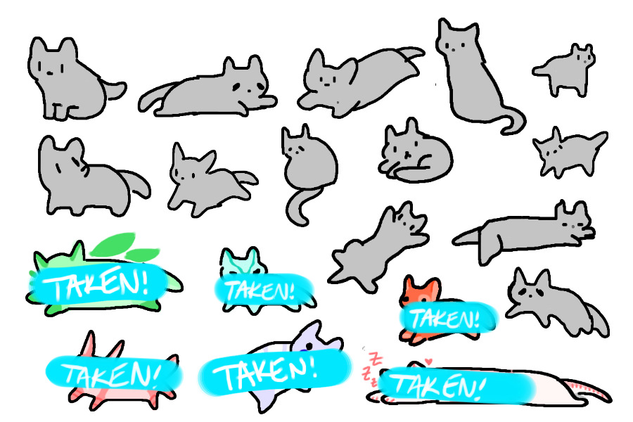 six (6) whole cats (CLOSED)