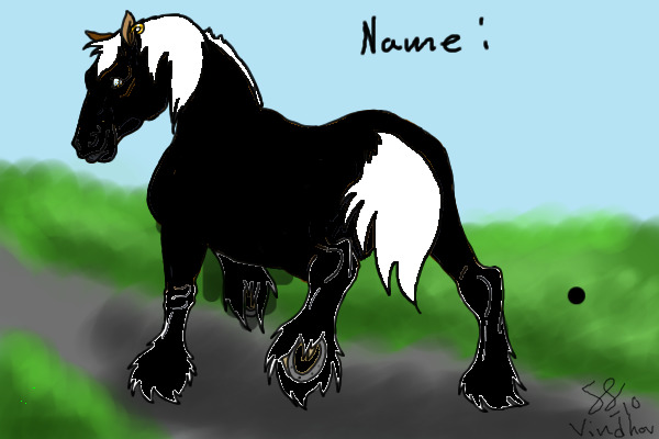 horse mare shire