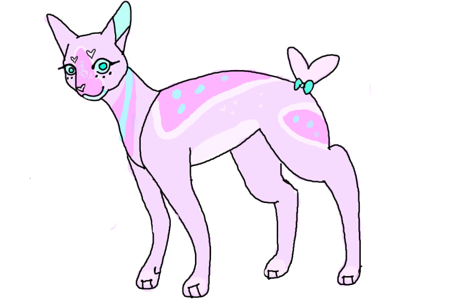 heart cat adoptable thing