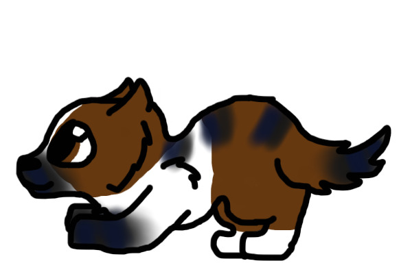 Pup