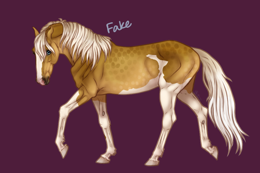 Mustang entry 1
