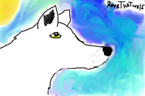 a white wolf