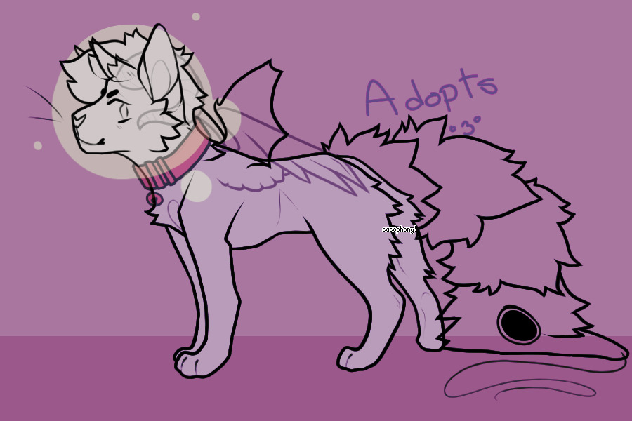 base for adopts-