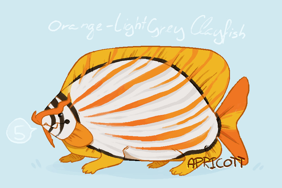 day 5 Orange-LightGray Clayfish