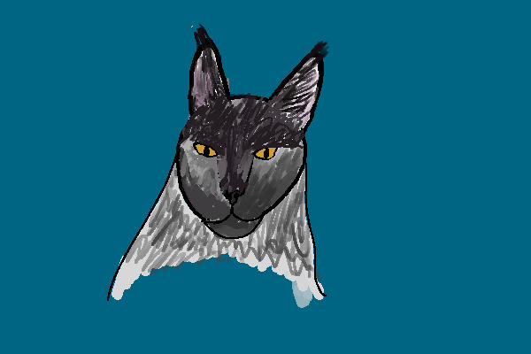 Ok I tried to draw a cat lol