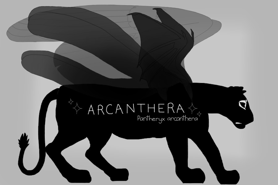 ◇◇ arcanthera --- magic big cats --- looking for staff