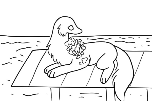 dock