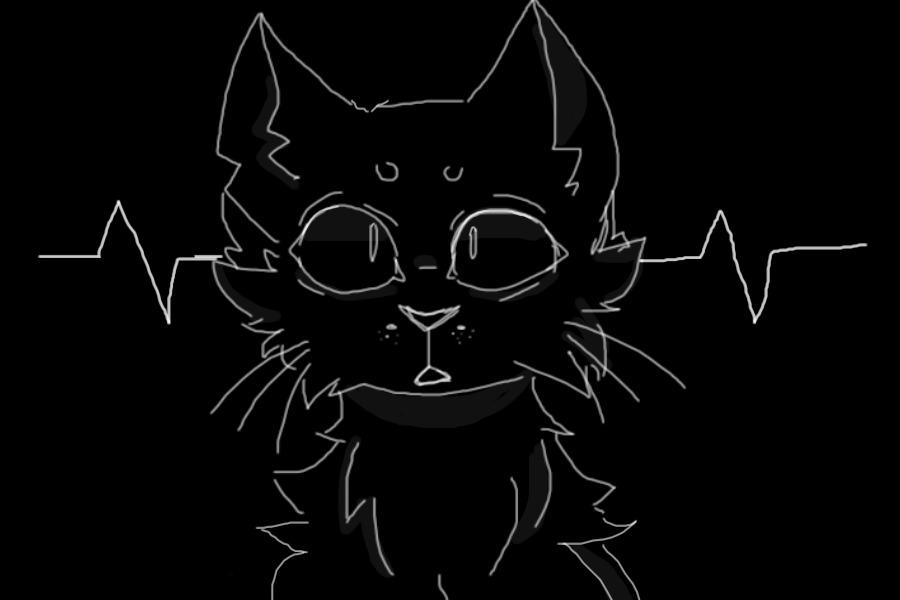 cat doodle thing idk