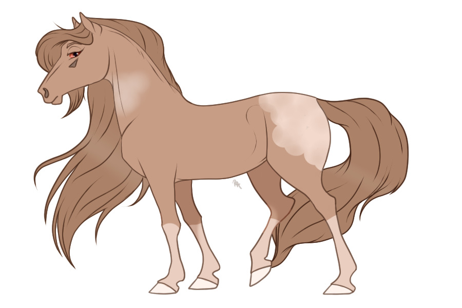 Horse adopt