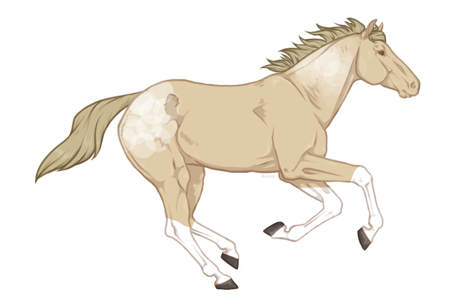 Horse adopt