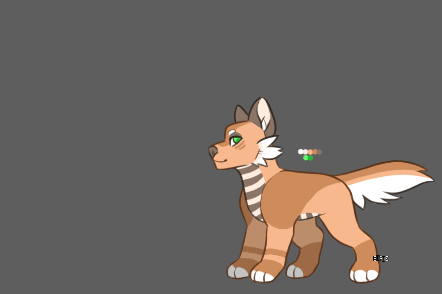 C4C dog for me