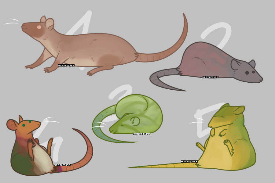 Some Rats