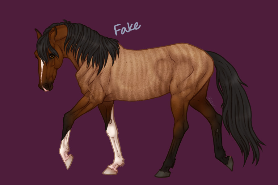 Mustang entry 3