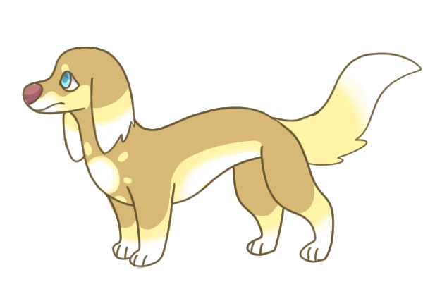 dogy