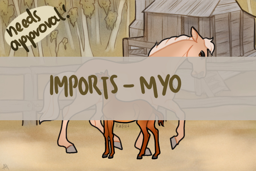 Australian Galloways - Imports/MYO