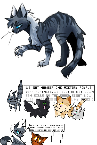 cats