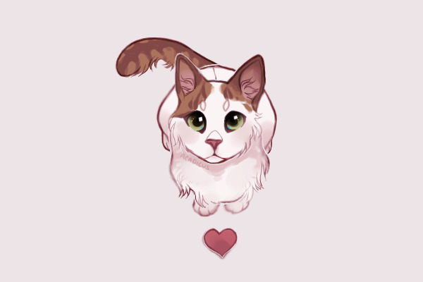 might miss it; don't know yet