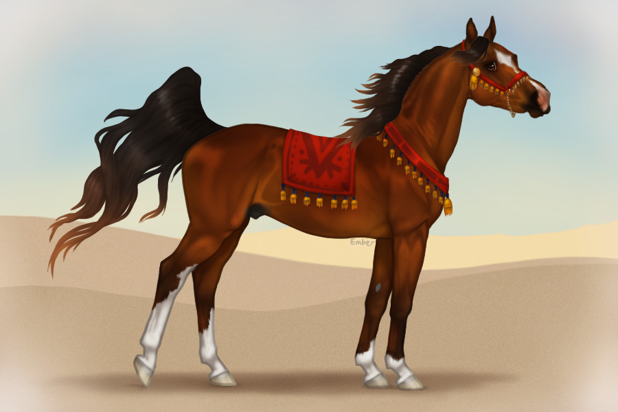 Breezy Arabian - Free Horse Editable!