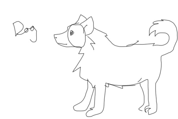 dog