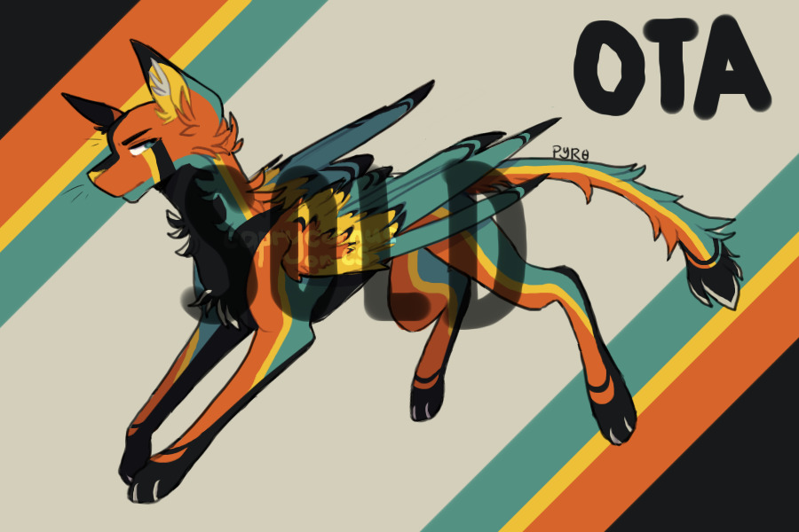 parrot cat adopt- SOLD!