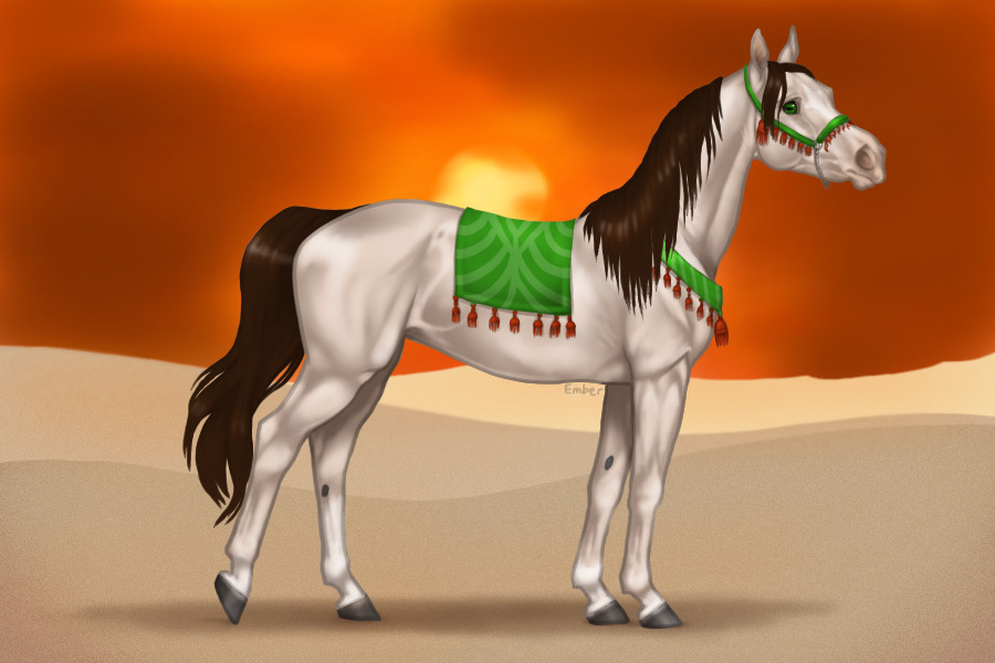 Art auction: Arabian Horse for C$