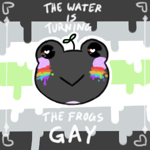 gay frog