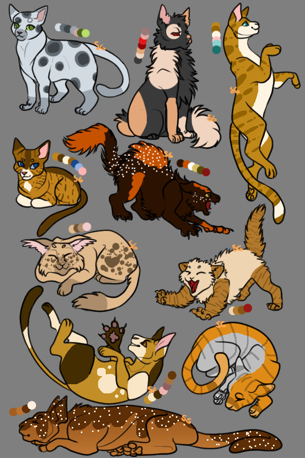 Cat Adopts! <333