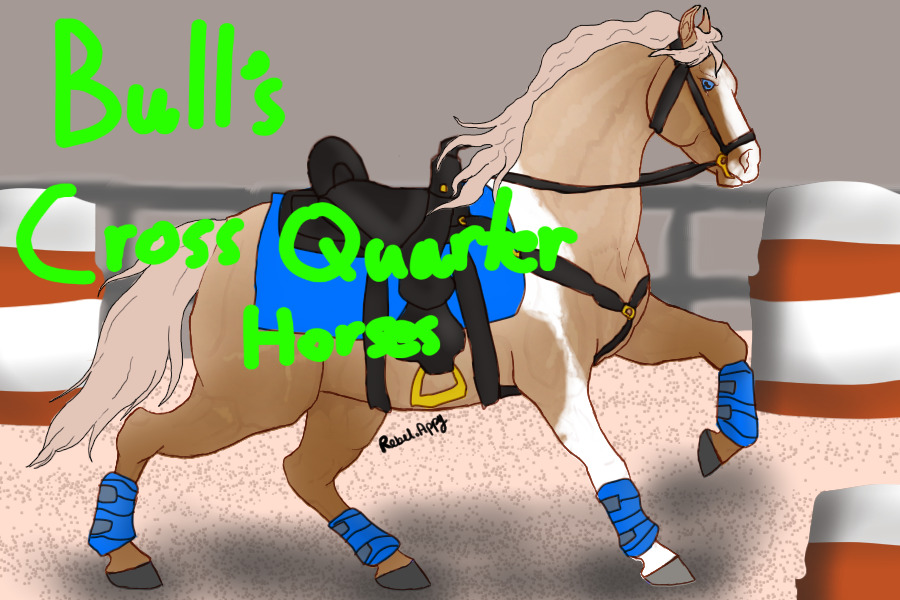 Bull's Cross Quarter Horses [V.1]