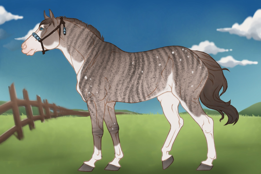 sold | brindle horse