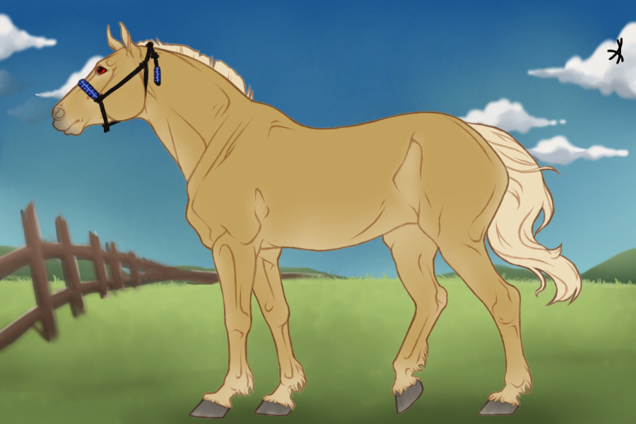 Palomino Warmblood