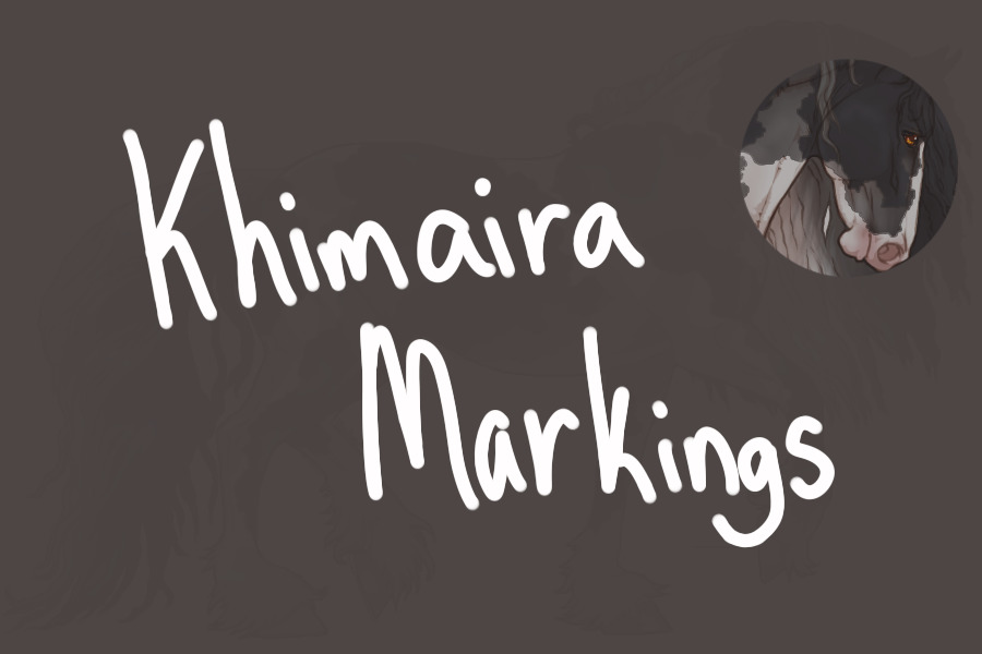 Khimaira Friesians - Genetics - Khim marks