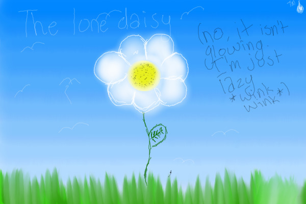 the lone daisy