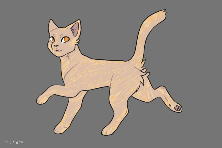 Cat 1 for SushiFoxx