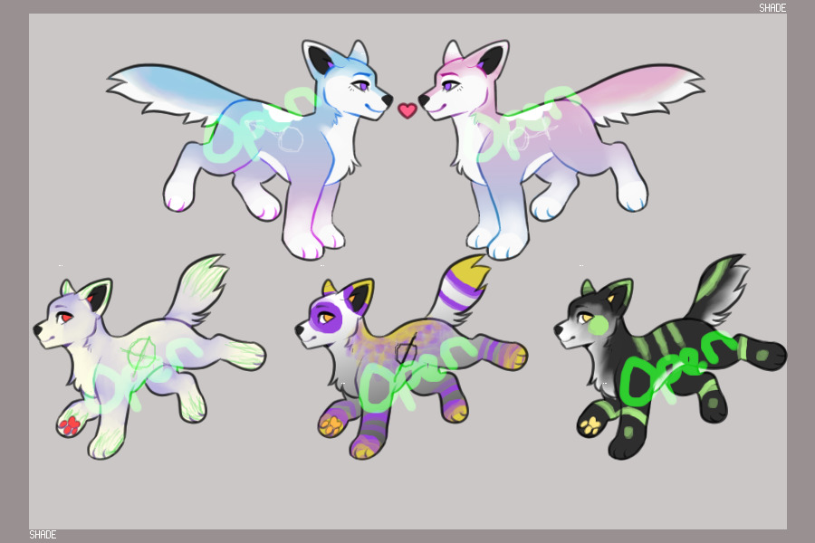 EVENT SALE: PRIDE WOLF ADOPTS 1